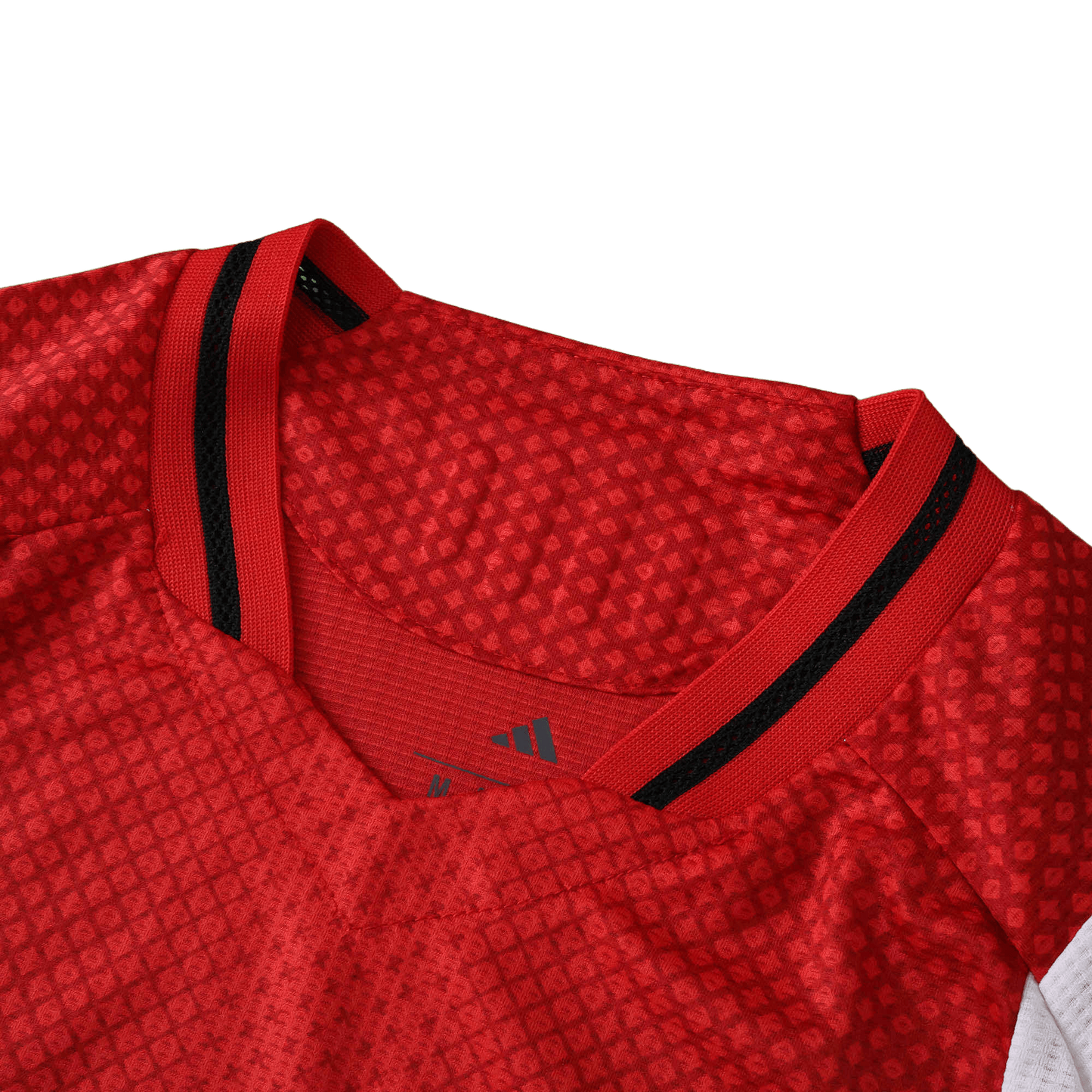 Ajax 2025-2026 Home