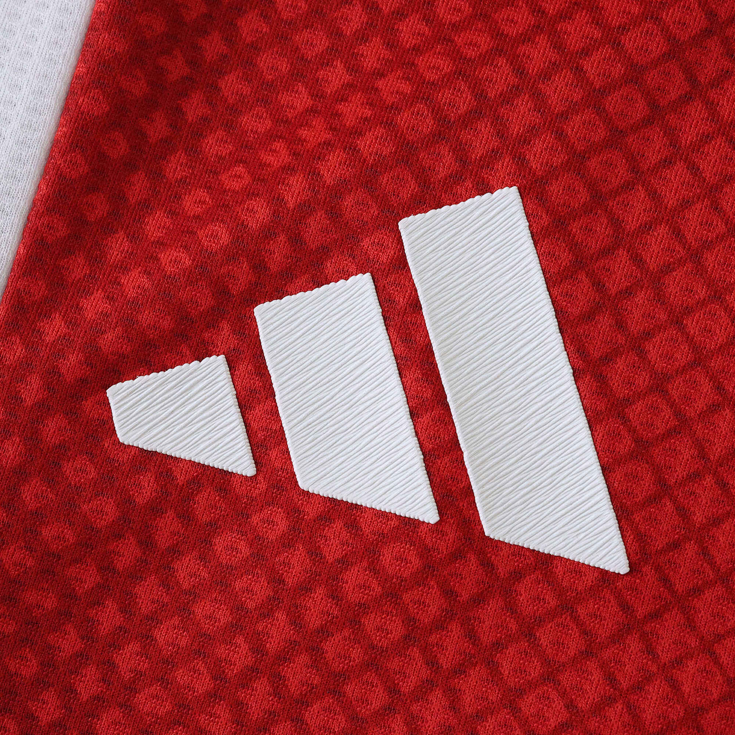Ajax 2025-2026 Home