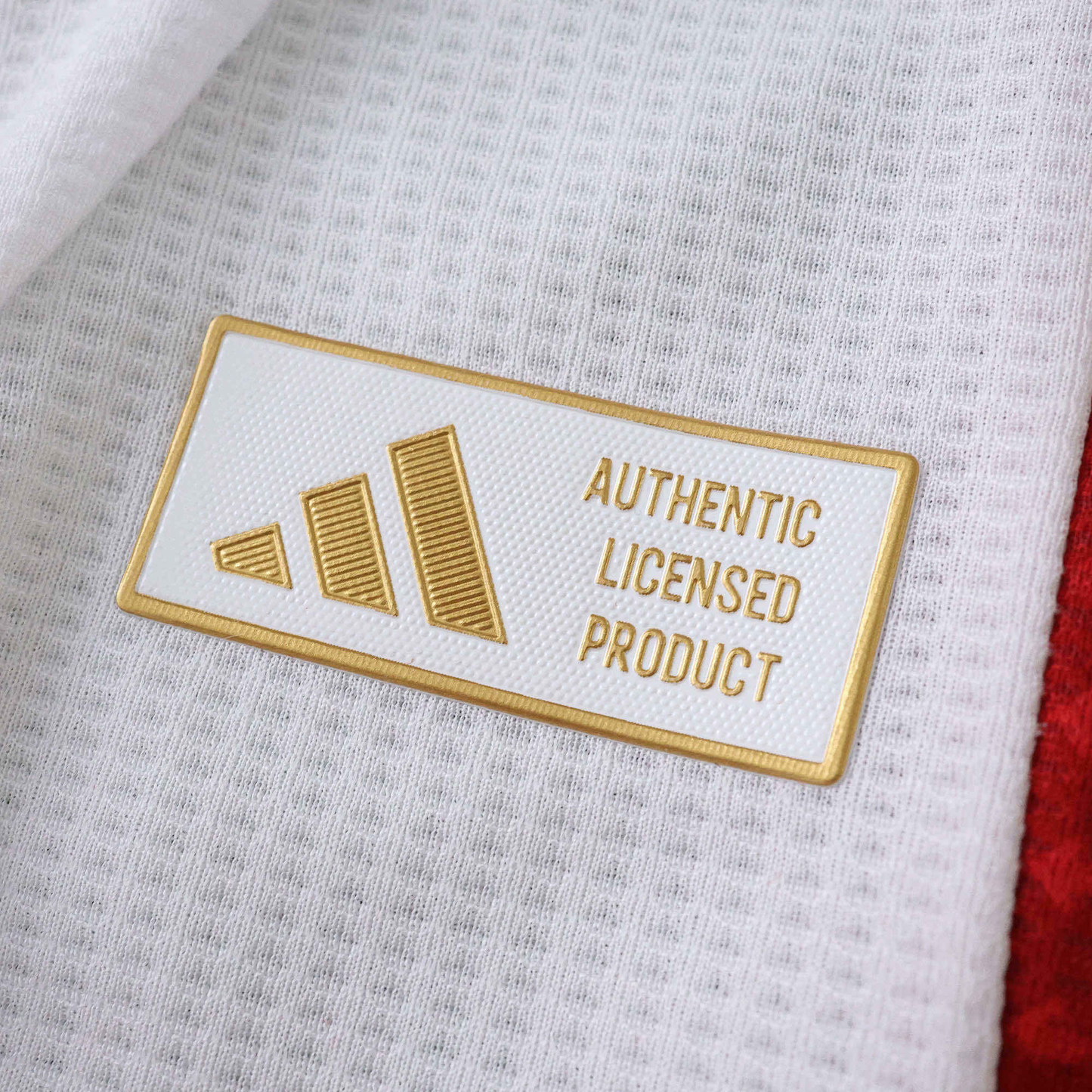 Ajax 2025-2026 Home