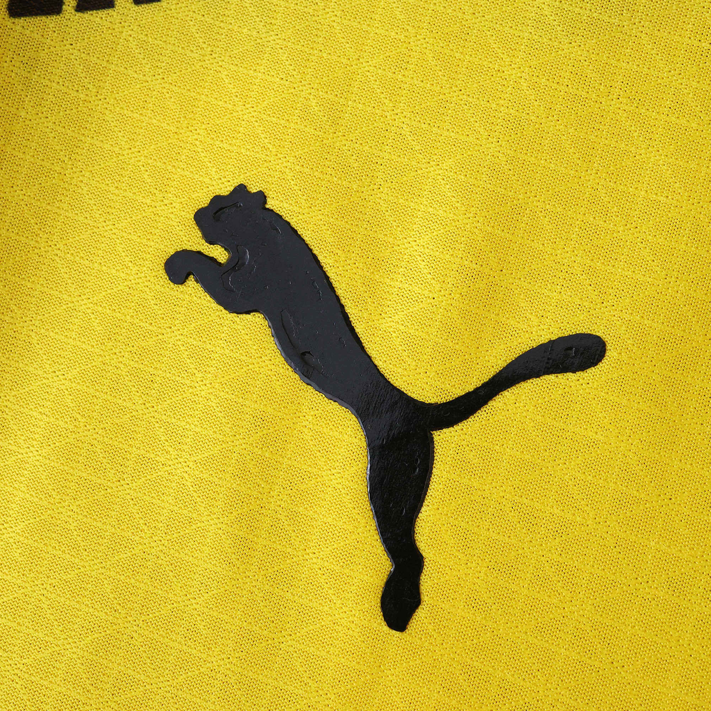 Borussia Dortmund 2025-2026 Home
