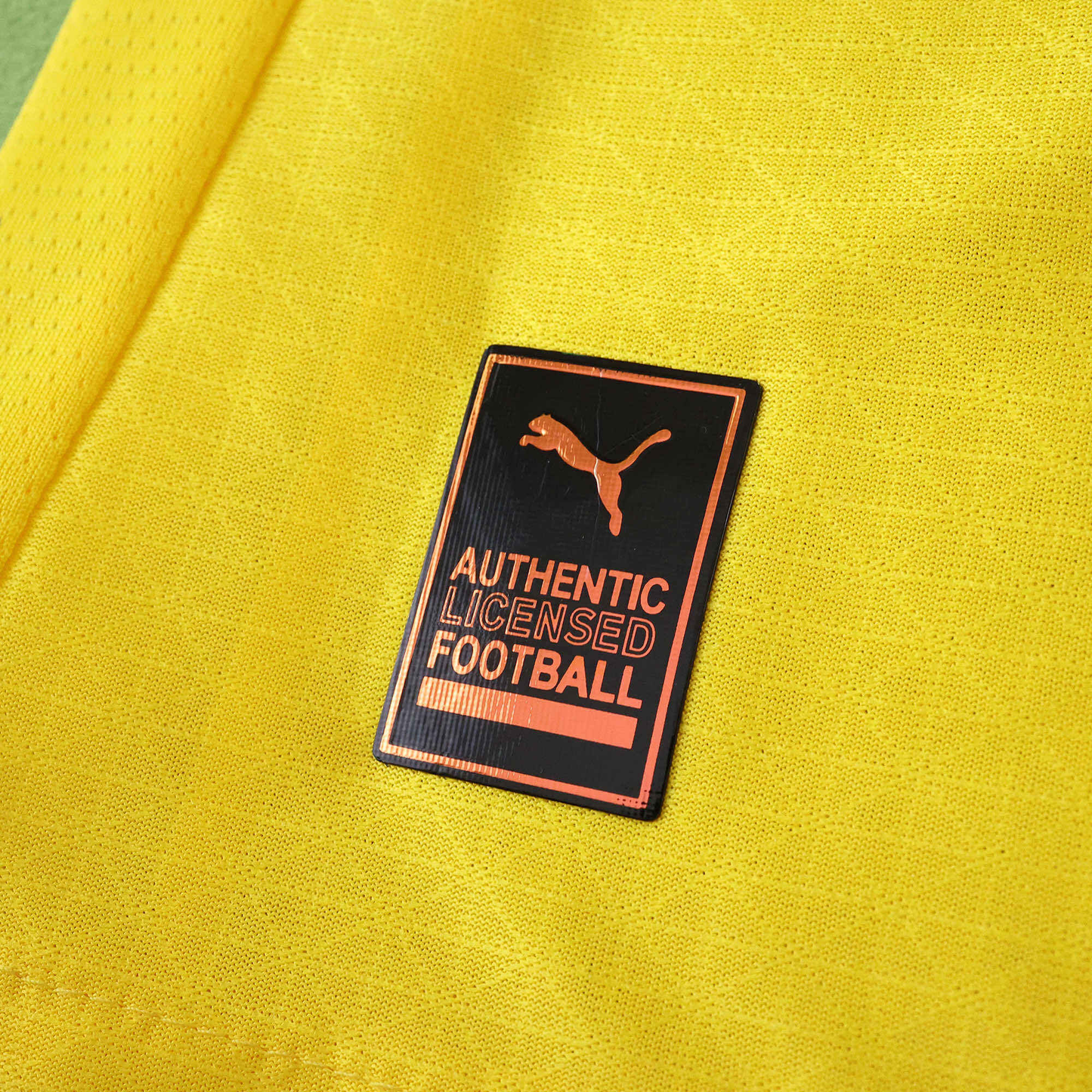 Borussia Dortmund 2025-2026 Home