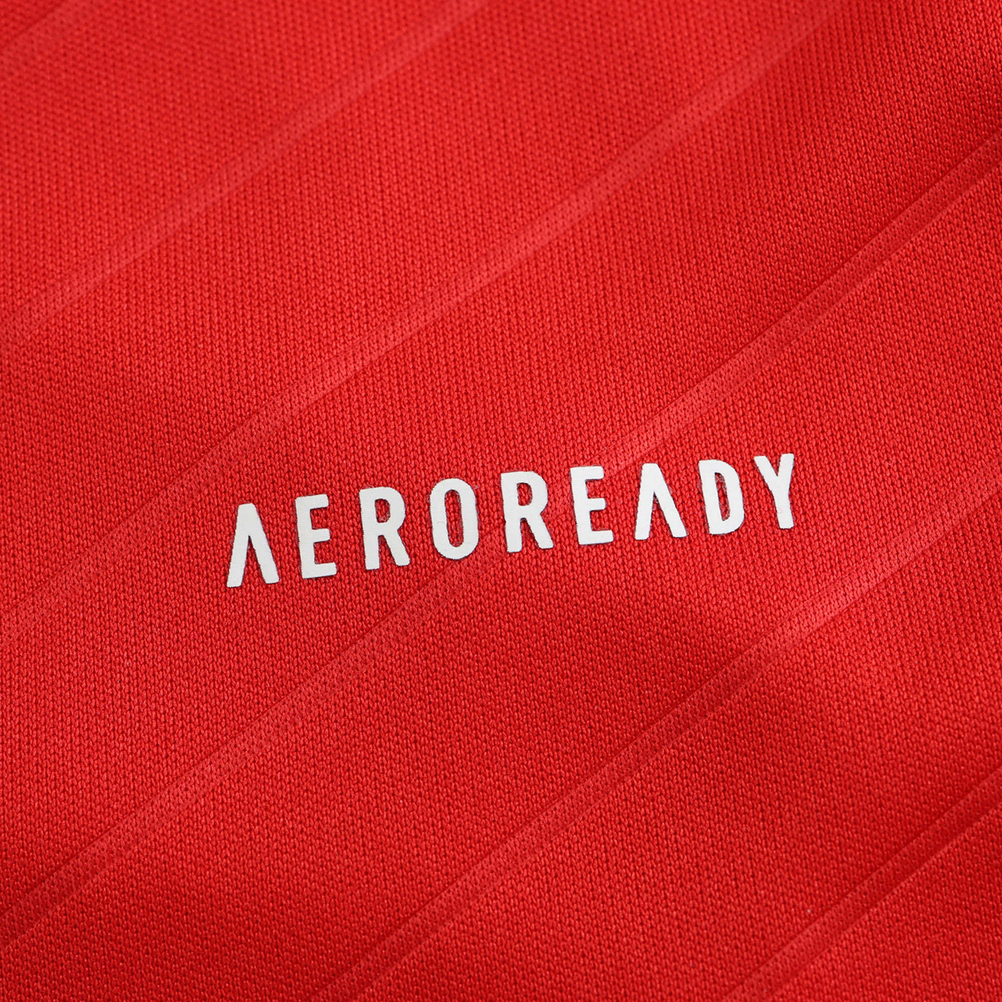 Benfica 2024-2025 Home