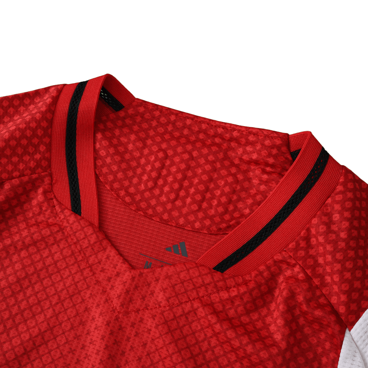 Ajax 2025-2026 Home