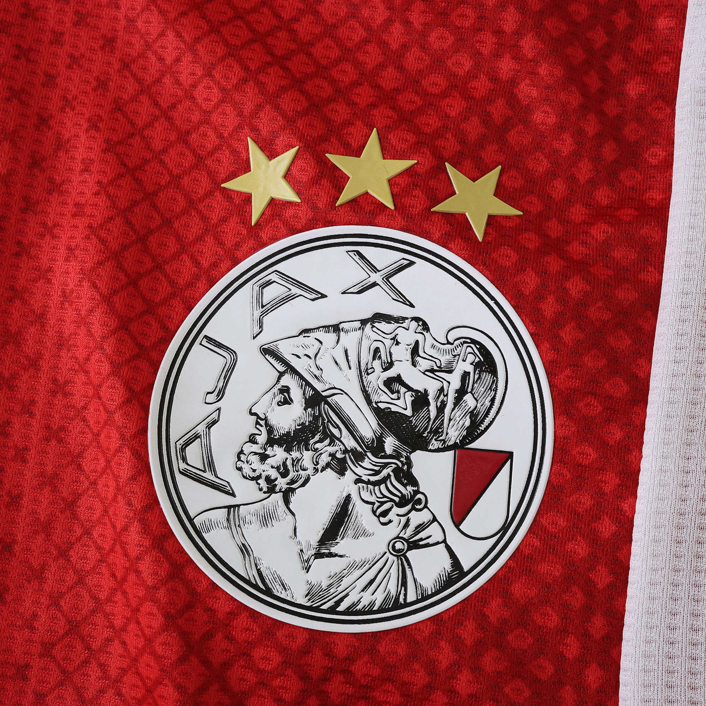 Ajax 2025-2026 Home