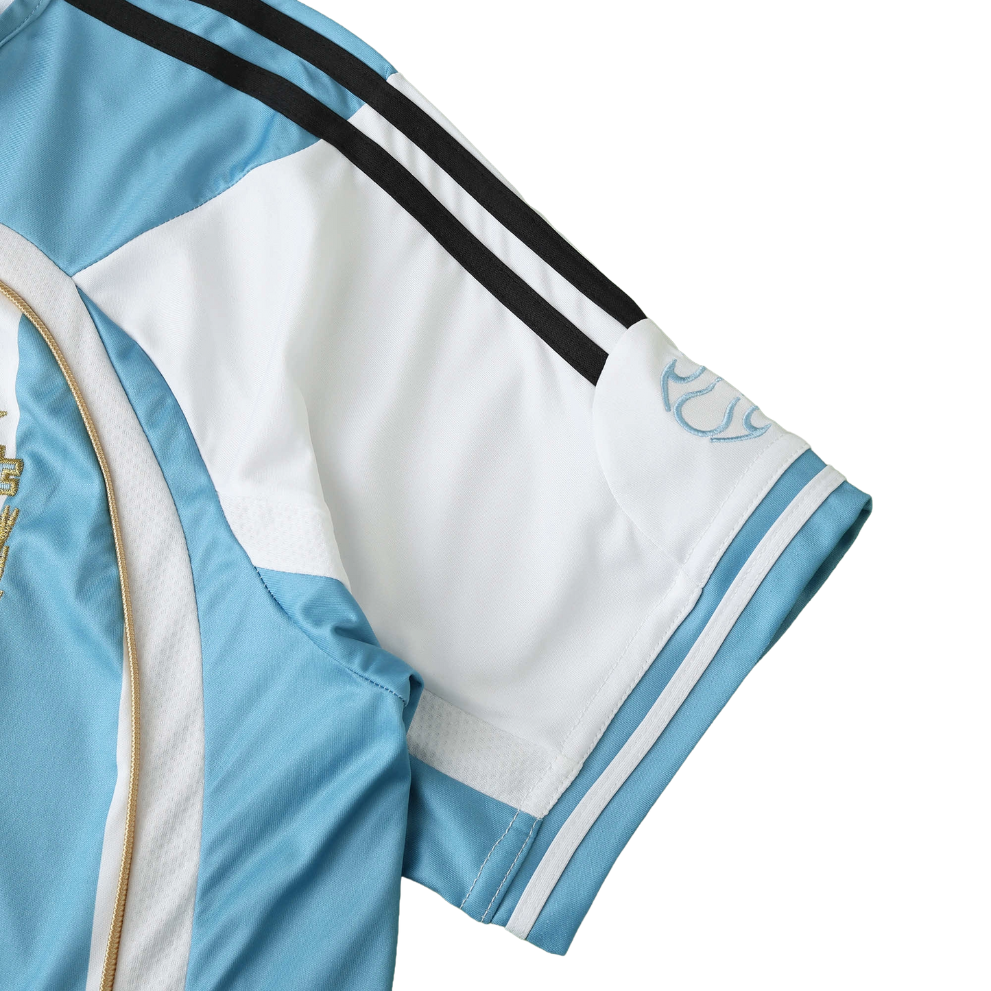 Argentine 2006 Home