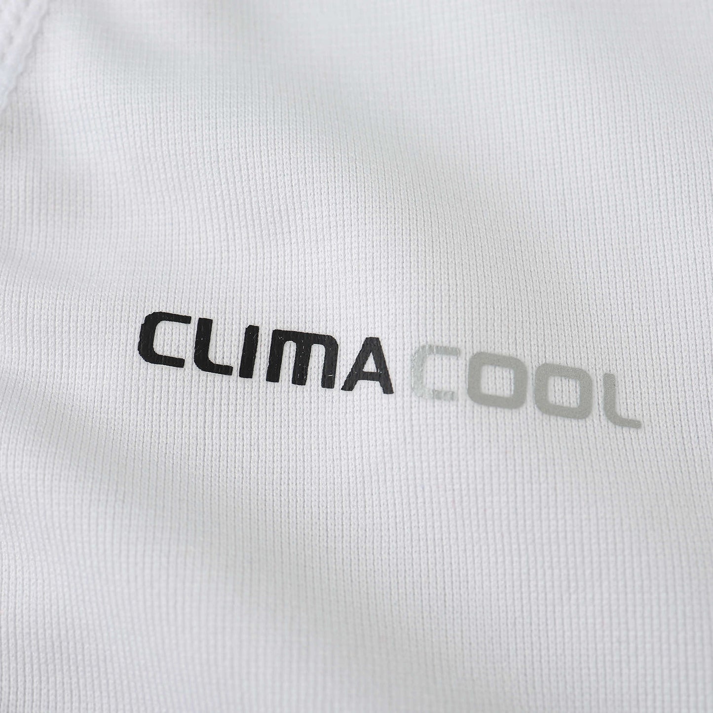 Real Madrid 2010/11 Home