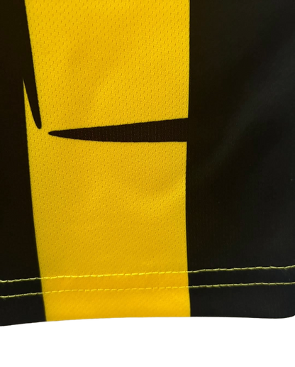 Borussia Dortmund 2012/13 Home