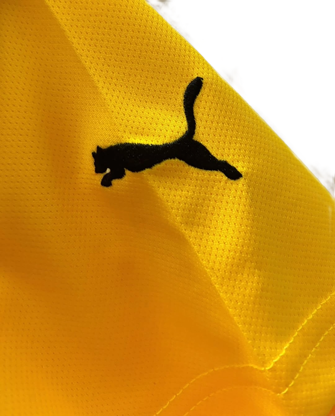 Borussia Dortmund 2012/13 Home