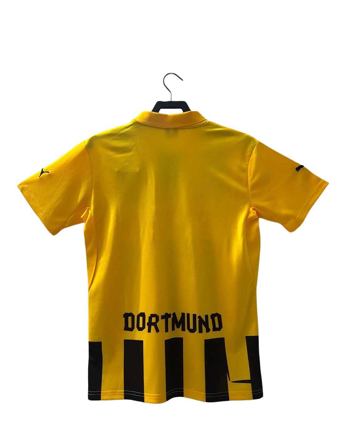 Borussia Dortmund 2012/13 Home