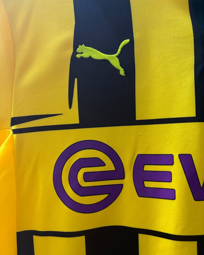 Borussia Dortmund 2012/13 Home