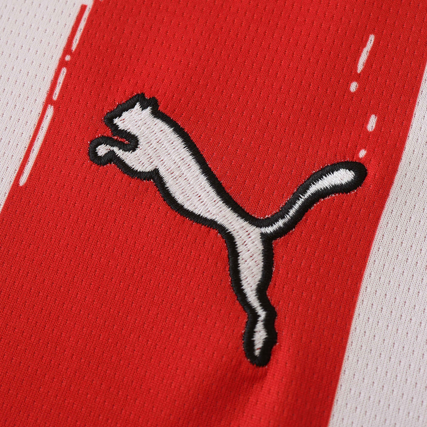 PSV 2025-2026 Home