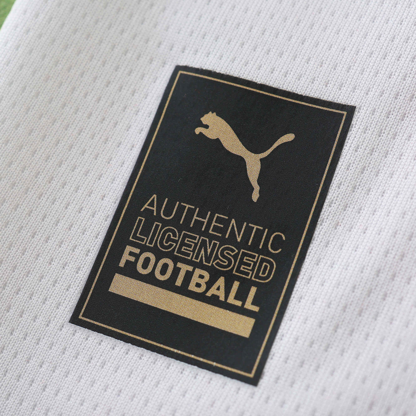 PSV 2025-2026 Home