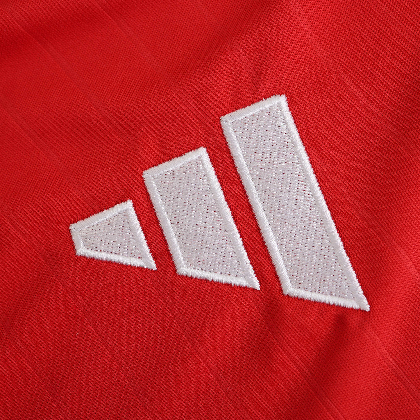 Benfica 2024-2025 Home