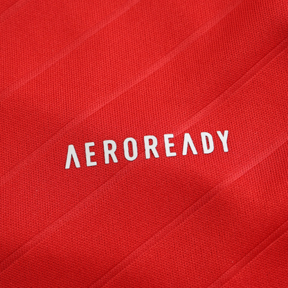 Benfica 2024-2025 Home